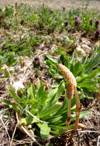 img-nati090603.jpgのサムネール画像